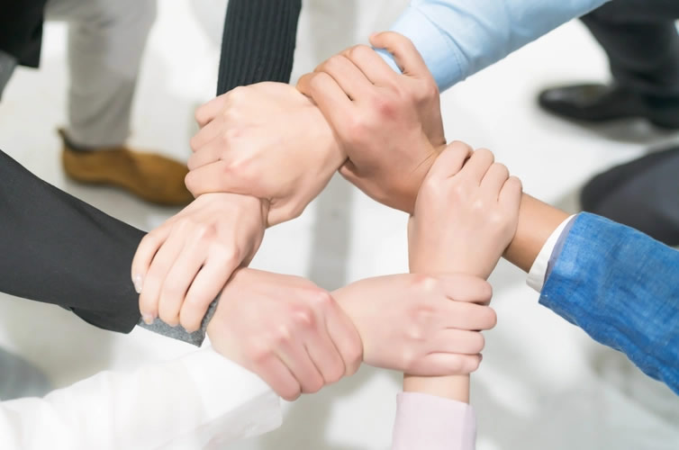 專(zhuān)業(yè)技術(shù)團(tuán)隊(duì)